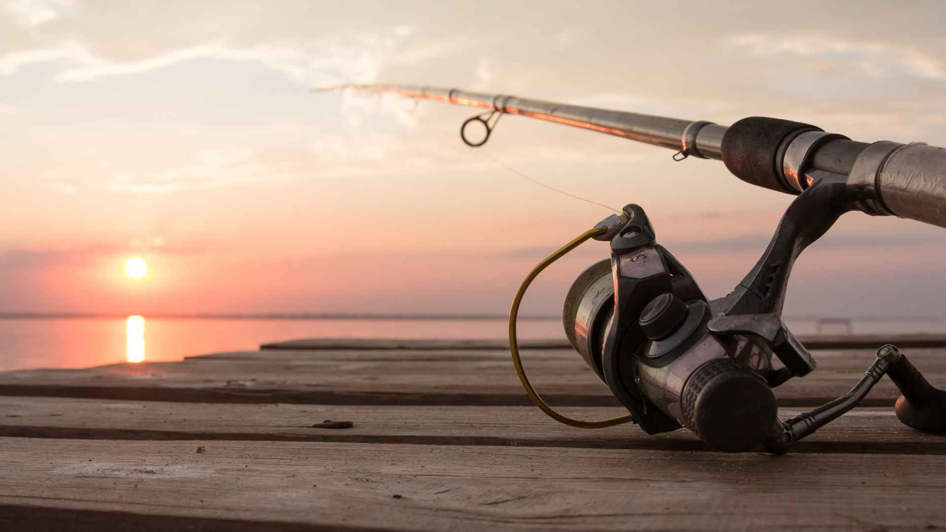 How to Restring a Fishing Reel for Beginners? Step-By-Step How to restring a fishing reel