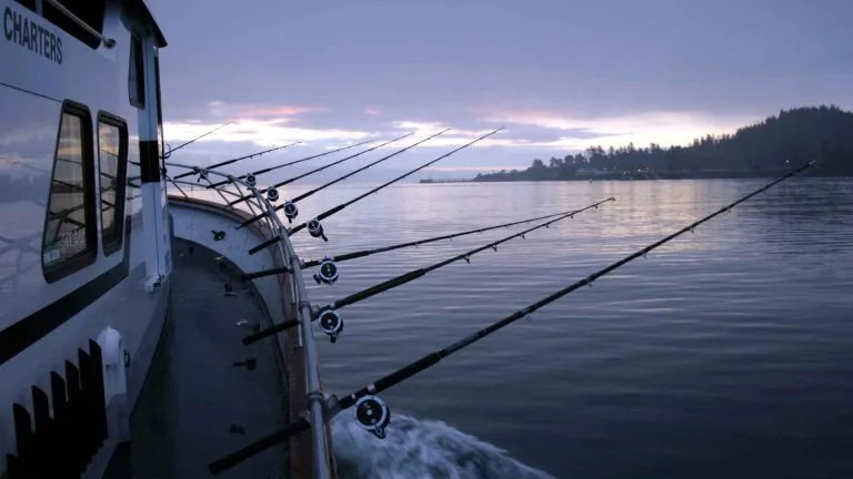 Can You Fish While Moving on a Ship? Guide & Tips to Follow