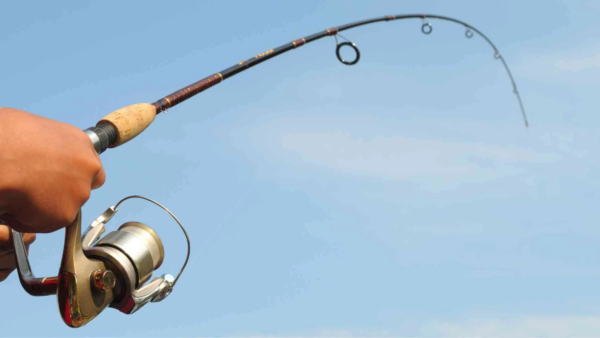 How Long Is a Rod? Measurement Unit Vs. Fishing Rod Length How Long Is a Rod vs. Fishing Rod Length