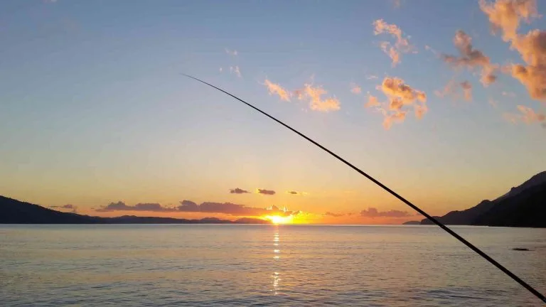 How Long Is a Rod vs. Fishing Rod Length