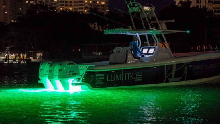 What to Consider When Choosing the Best Marine LED Lights?