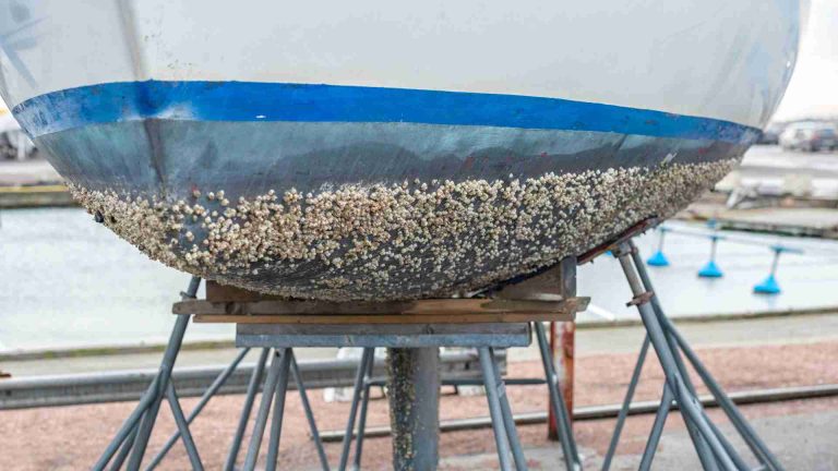 How to Prevent and Remove Barnacles from Boat Hull?
