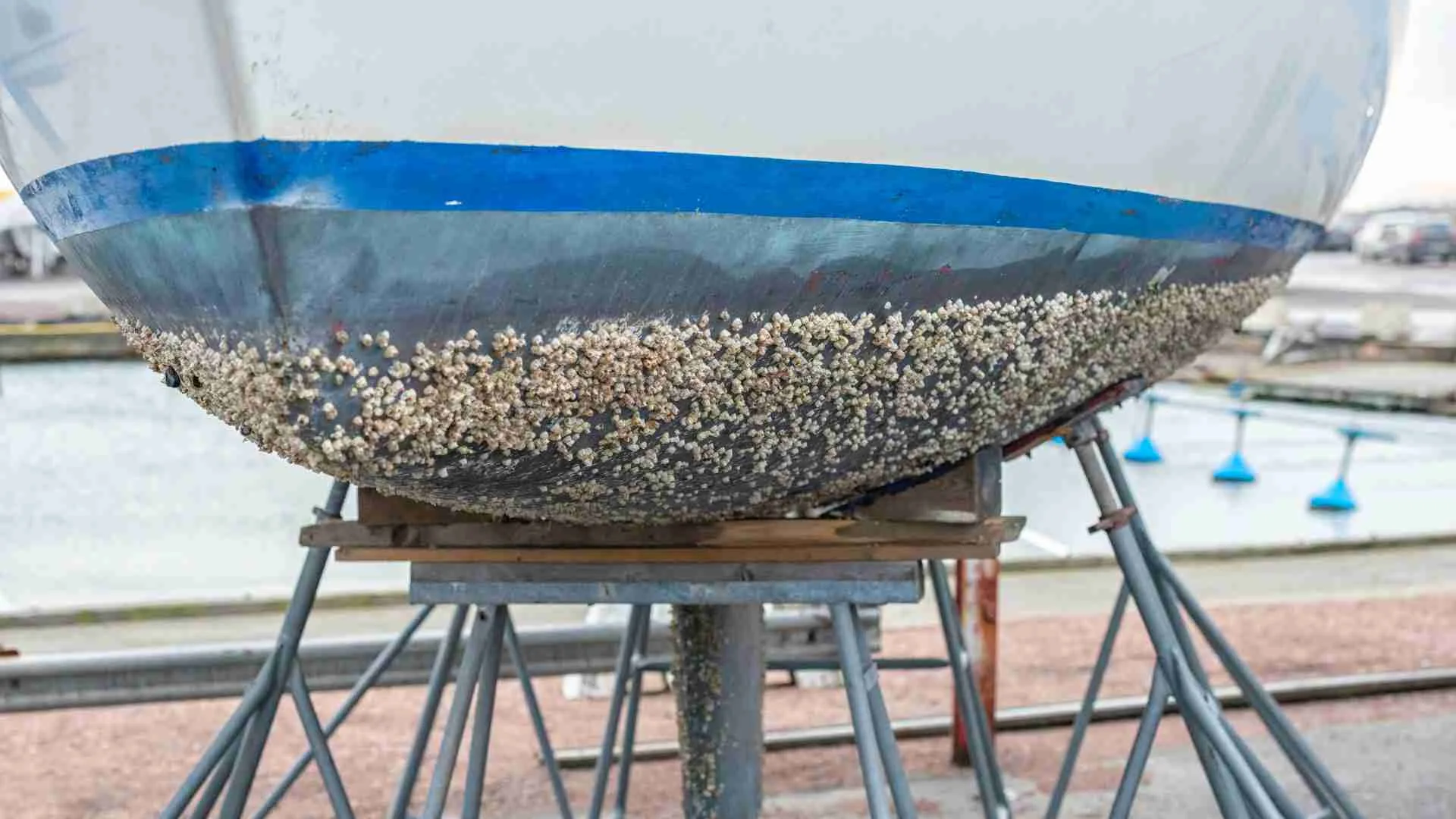 How to Prevent and Remove Barnacles from Boat Hull? How can I prevent and remove barnacles from my boat_s hull