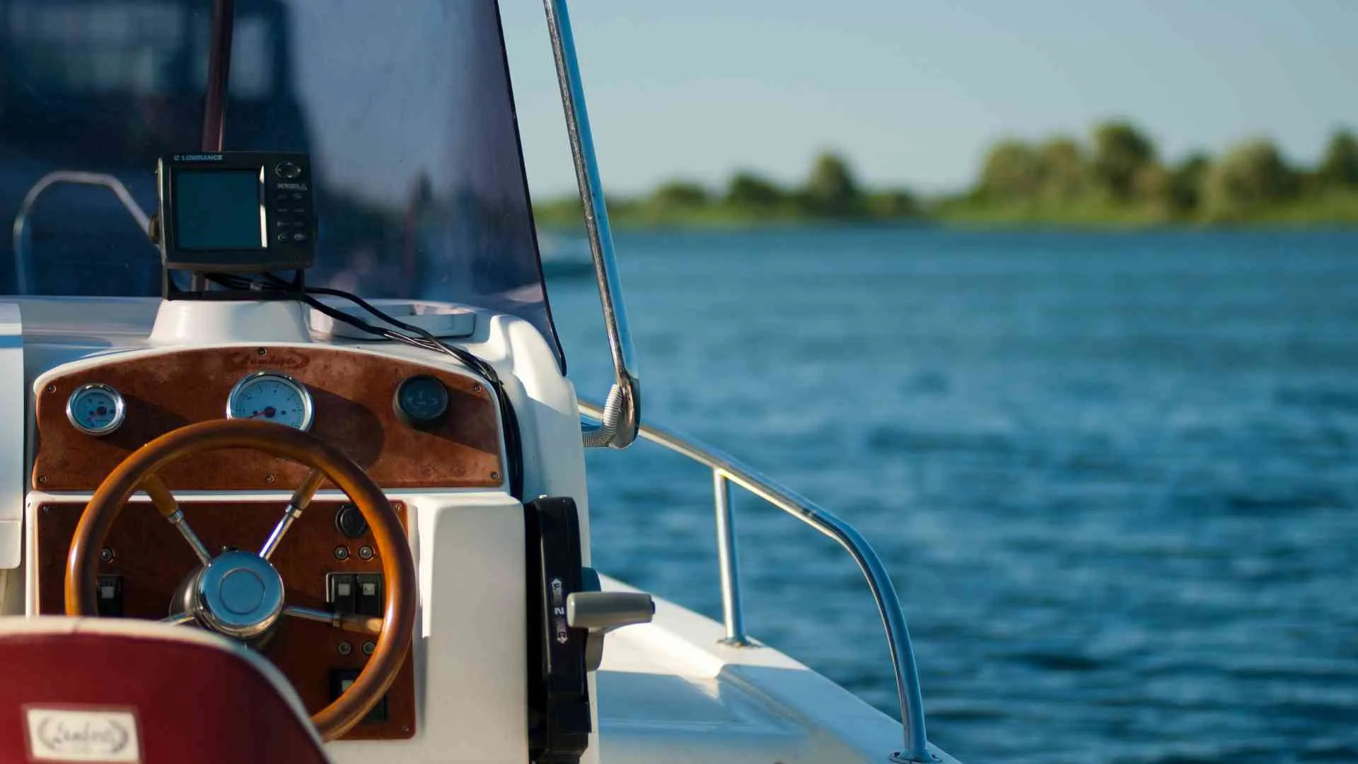 Can Animals Attack Boats? Exploring Water Wildlife
