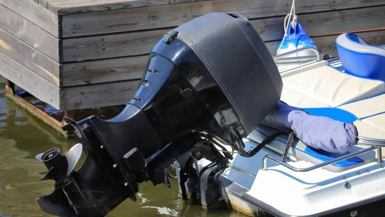 Performance and Features of the Mercury Black Max 200