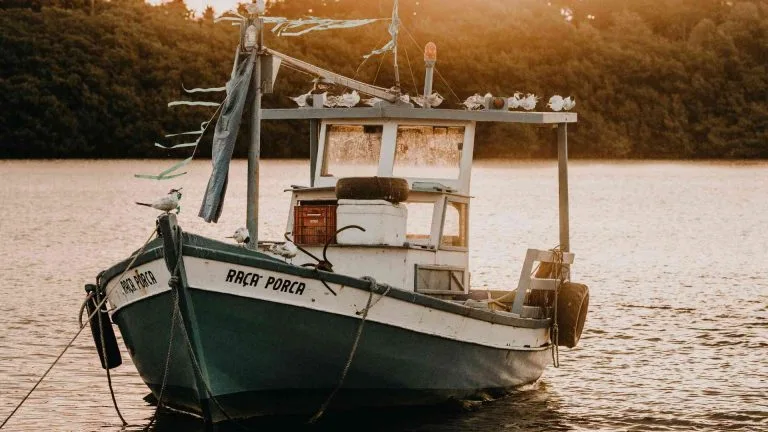 Boat Has No Power but Battery Is Good: Troubleshooting Guide