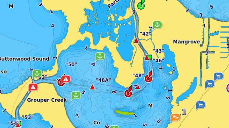 C-Map vs Navionics: Which Electronic Chart System Is Best?