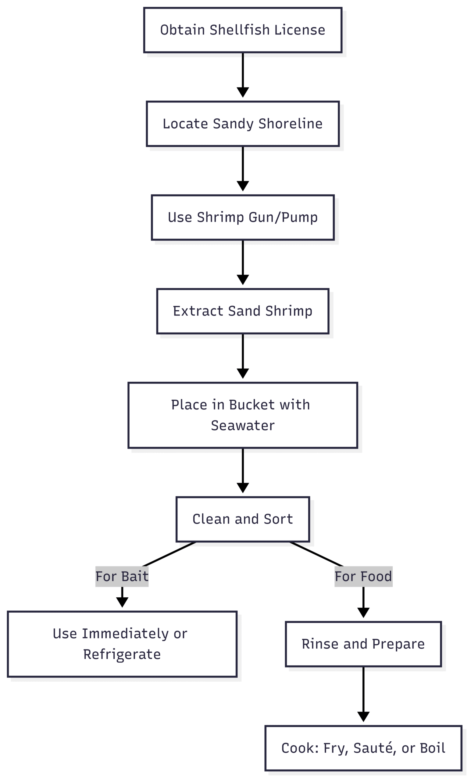 Are Sand Shrimp Edible? Chart: Sand Shrimp Harvesting Process