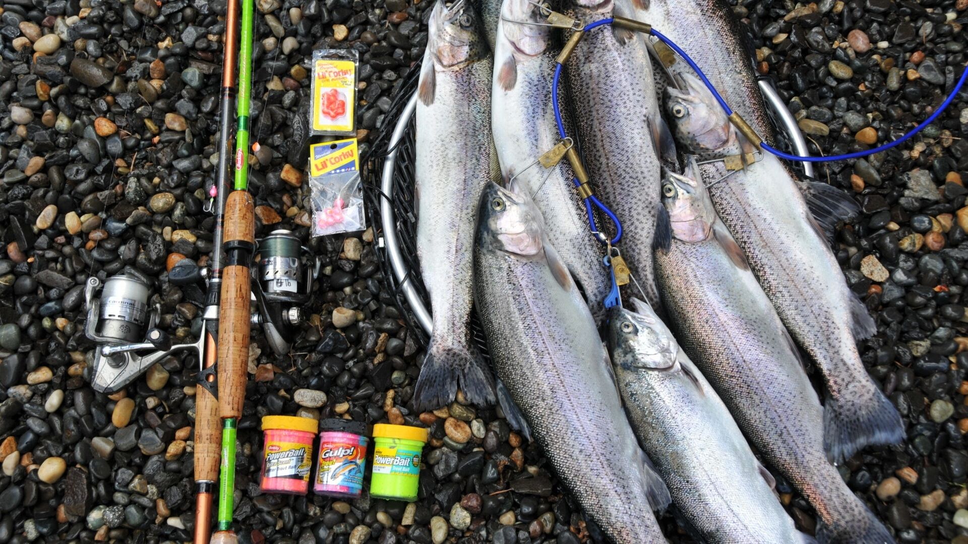 How Long Is PowerBait Good For? A Comprehensive Guide