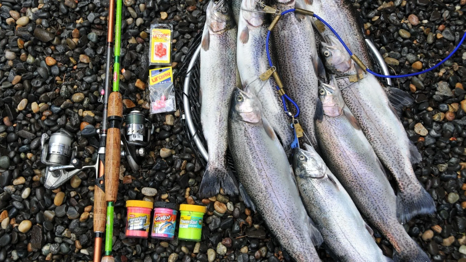 How Long Is PowerBait Good For? A Comprehensive Guide