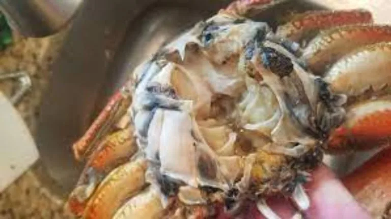 How to Tell If Crab Meat Is Bad - Common Signs of Spoilage