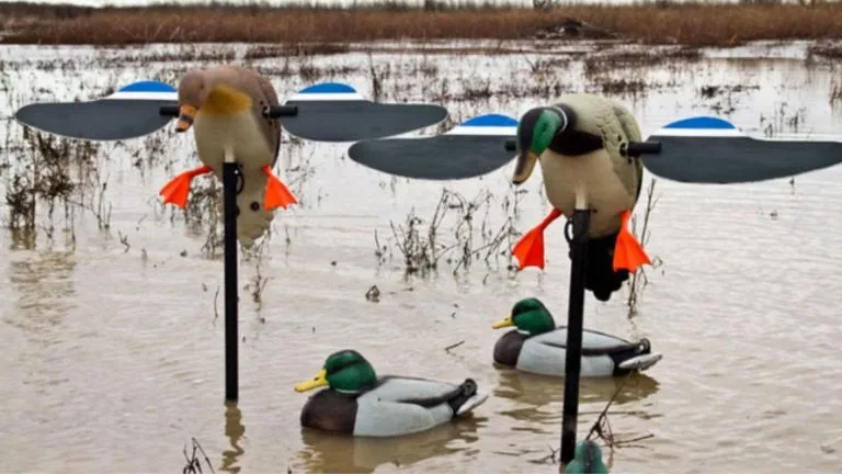 Duck Hunting - leaving decoys out overnight or not??