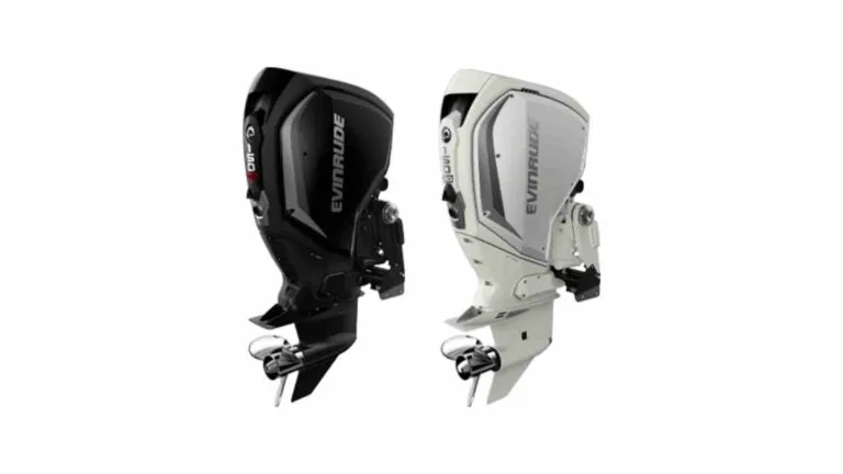 6 Most Common Problems with Evinrude E TEC 150
