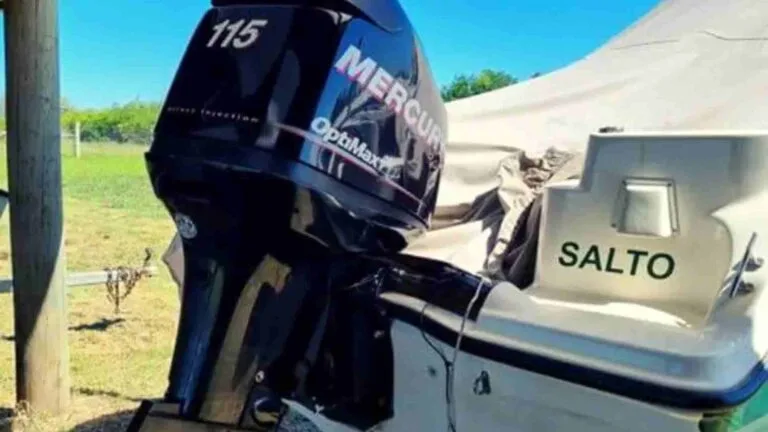 4 Most Common Problems with Mercury Optimax 150 Outboard