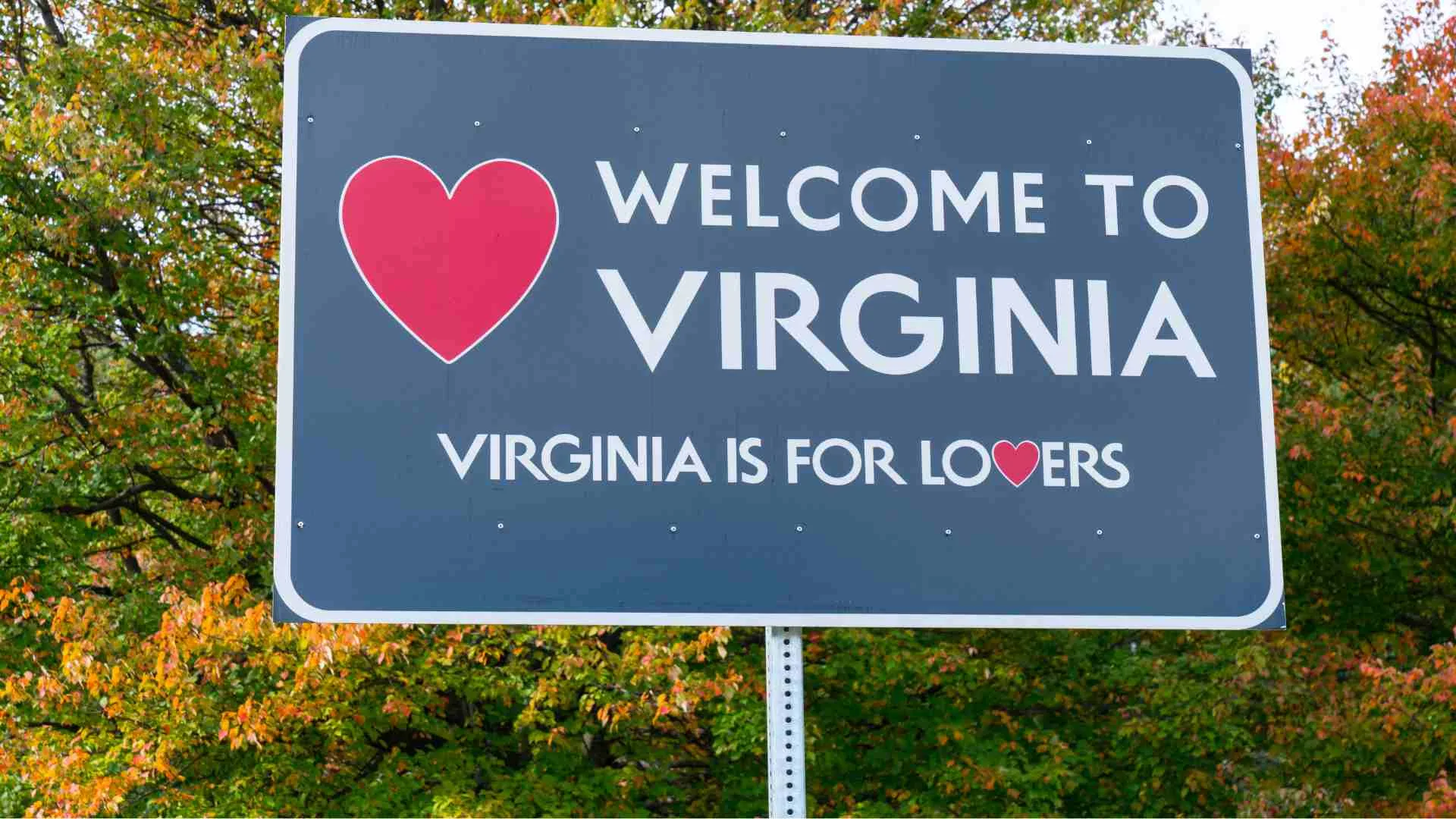 Virginia Boating Laws and Regulations