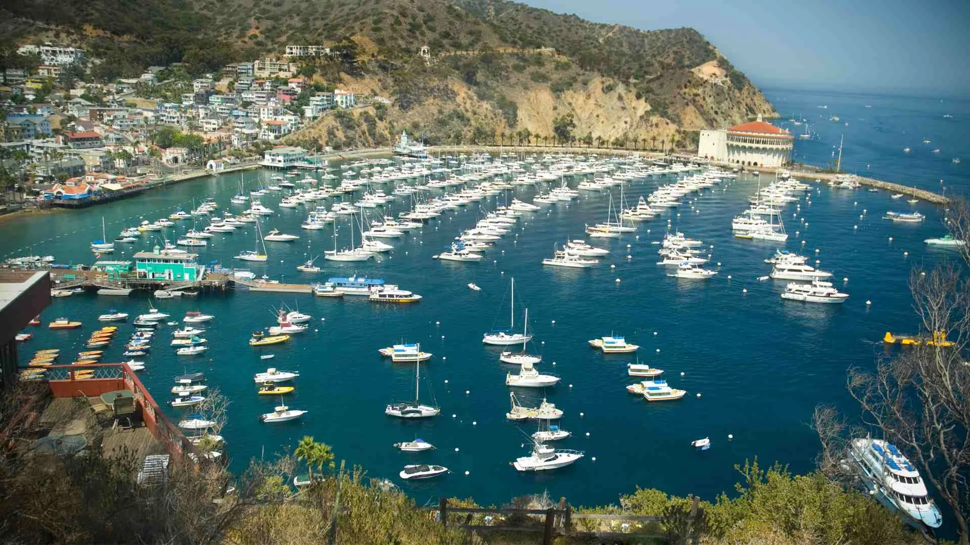 Boating to Catalina Island: Everything You Need to Know
