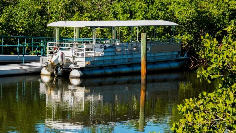 4 Best Pontoon Boats with Yamaha Motors: Guide