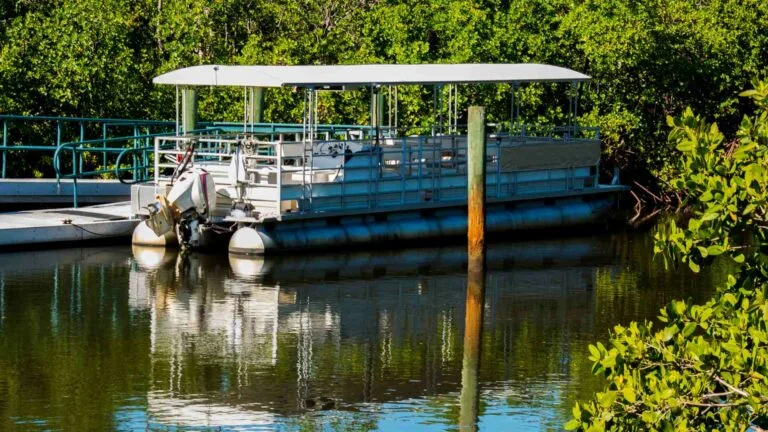 Transforming Pontoon into a Fishing Oasis: Setup Guide