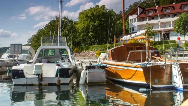 Boat Rentals Rainbow River: Cruising the Crystal Waters