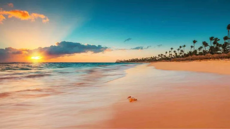 Tropical Beach Wallpaper 4K HD Mobile