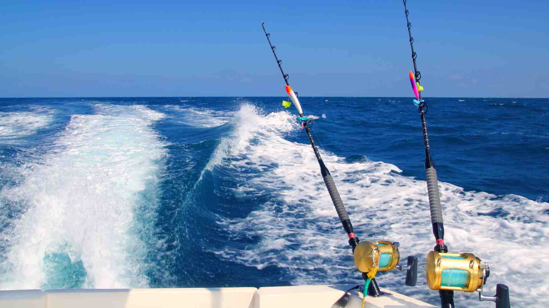A Guide to Saltwater Boats: Setting Sail on Salty Seas