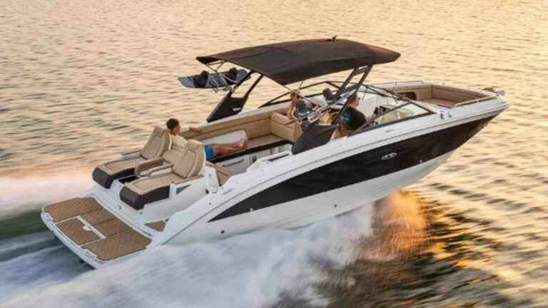 Sea Ray Pontoon Boats: Setting Sail in Style