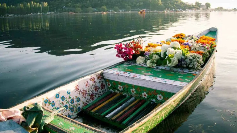 Exploring the Diverse Realm of Watercraft Boat