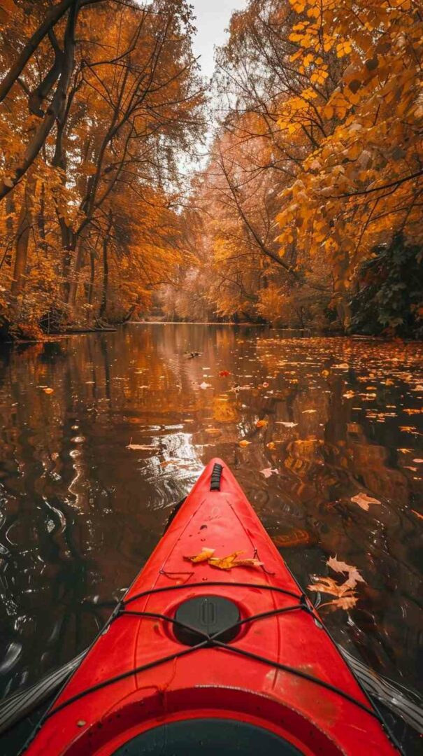 Kayak Stock Image 4K HD Wallpapers Kayak Stock Image 4K HD Wallpapers