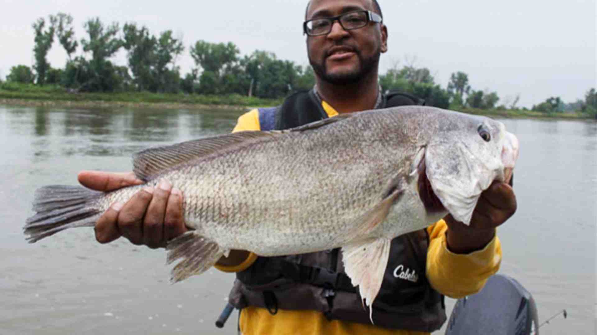 Freshwater Fishing: Drum Fish, Gaspergou, Sheepshead