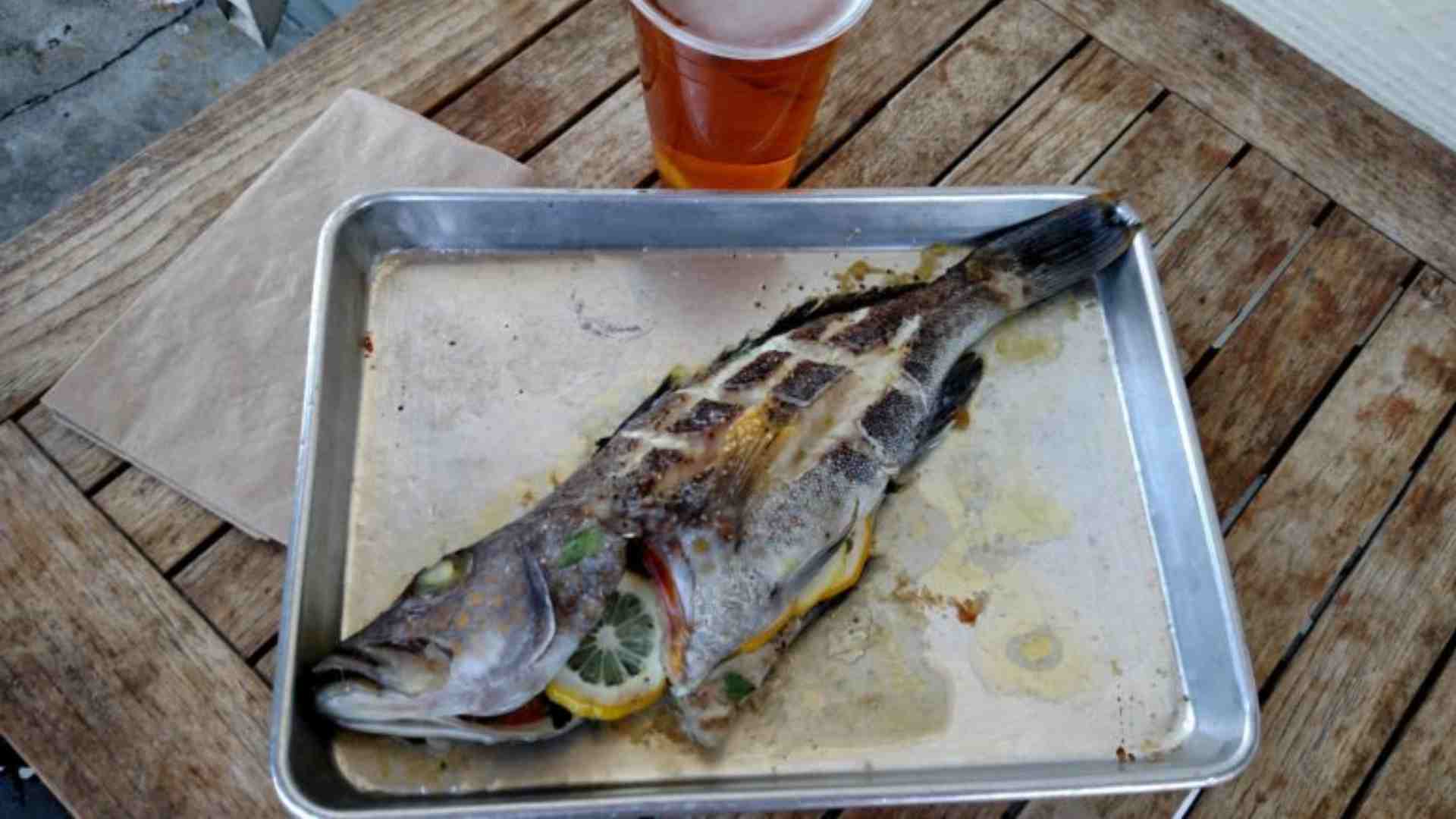 How to Cook Freshly Caught Fish: A Comprehensive Guide