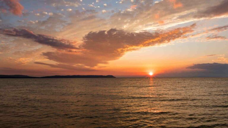 12 Most Remarkable Sailing Courses in India (Anyone Can Take)