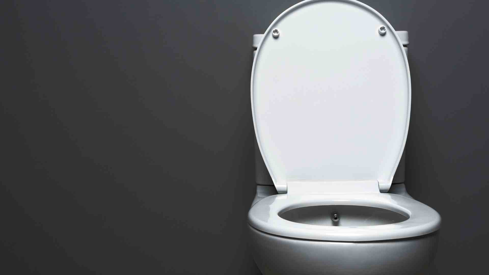 How Much Water Does a Marine Toilet Use?