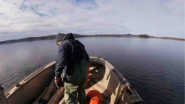 How To Winterize a Mooring (in 7 Easy Steps)