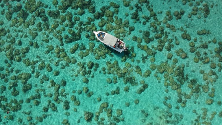 Freshwater vs. Saltwater Boating