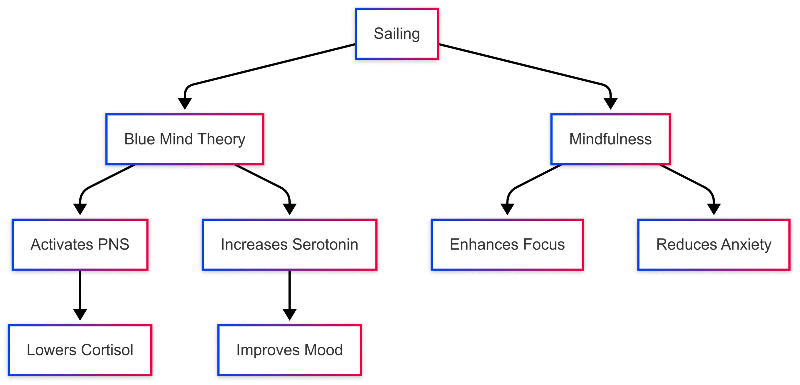 7 Health Benefits You Can Enjoy from Sailing 7 Health Benefits You Can Enjoy from Sailing