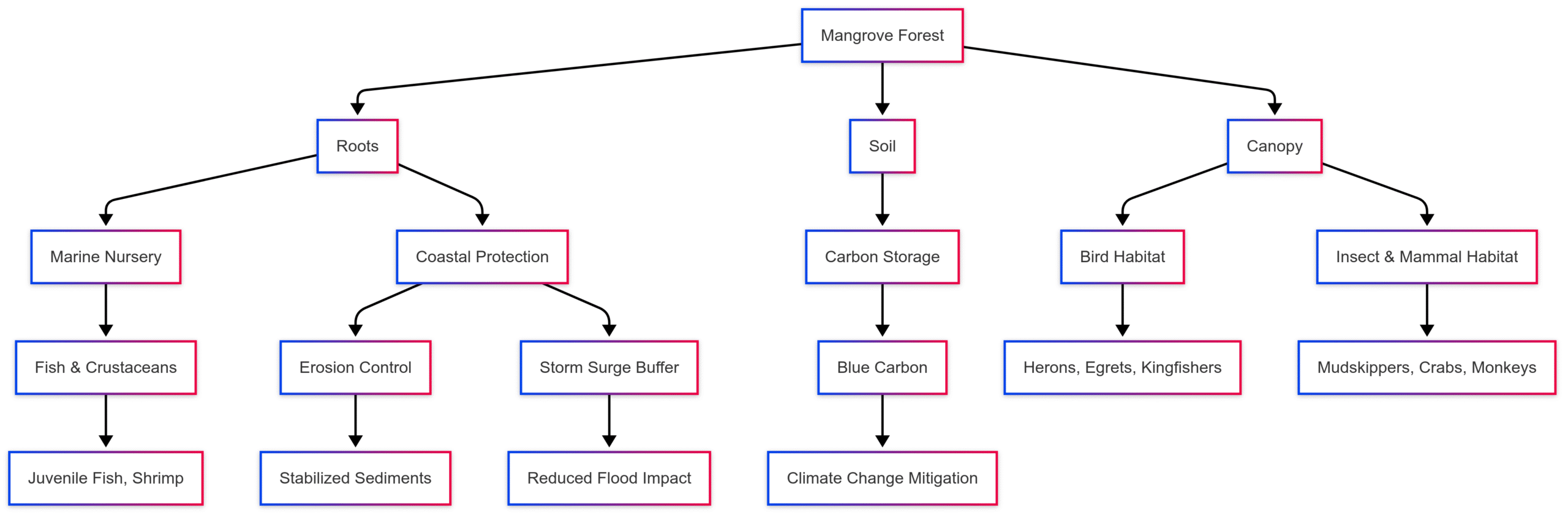 Mangrove, the wonder of marine habitats Mangrove, the wonder of marine habitats