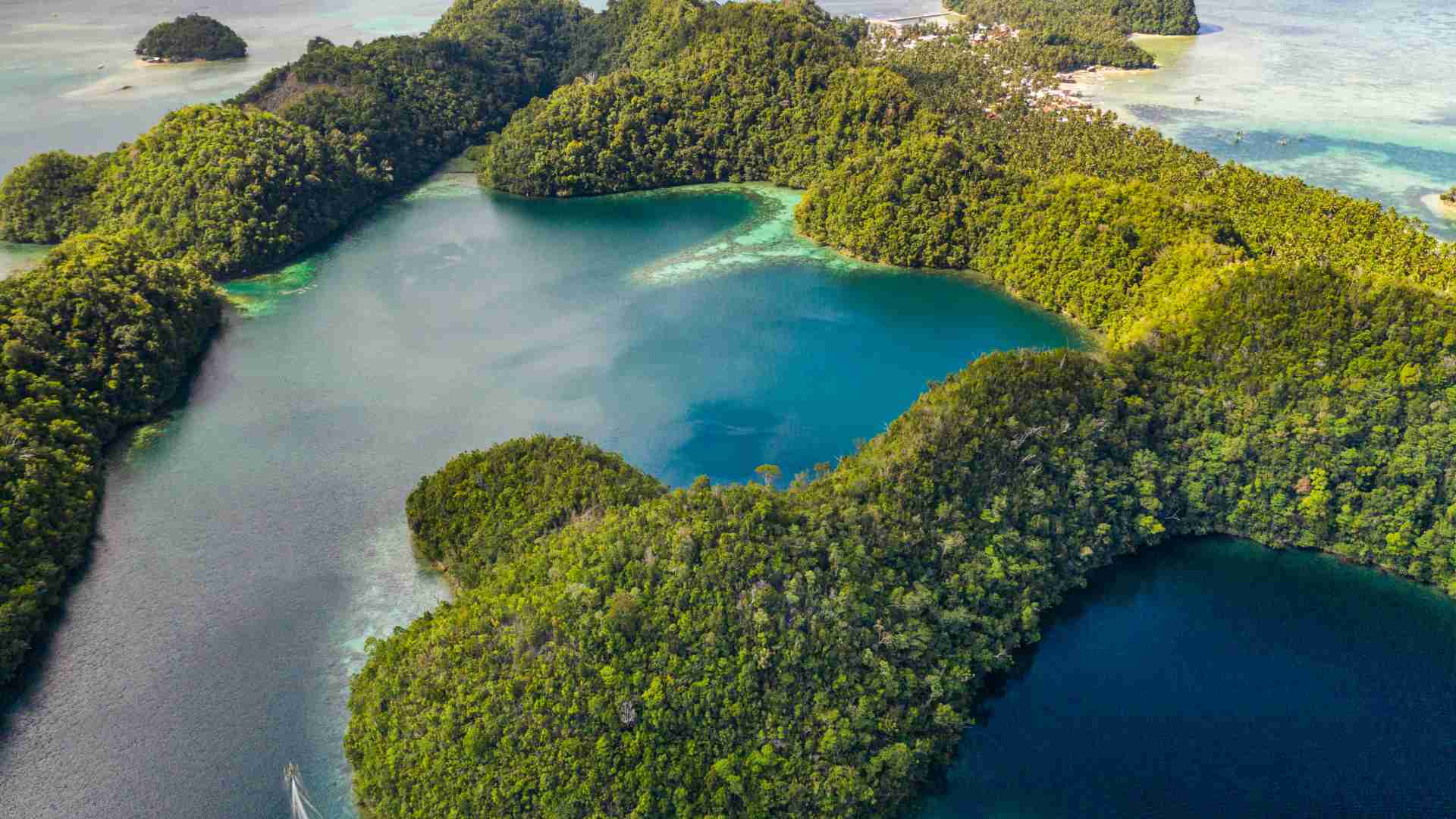 Coastal Lagoons: Important Ecosystems