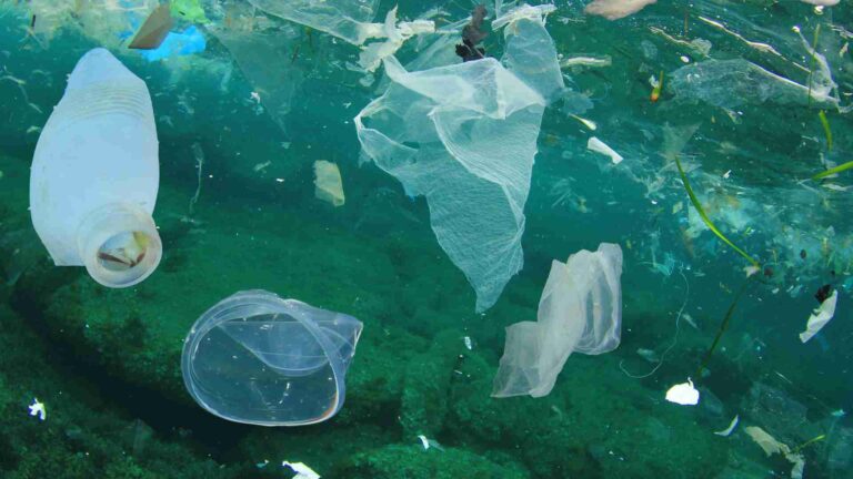 How Ocean Pollution Affects Humans