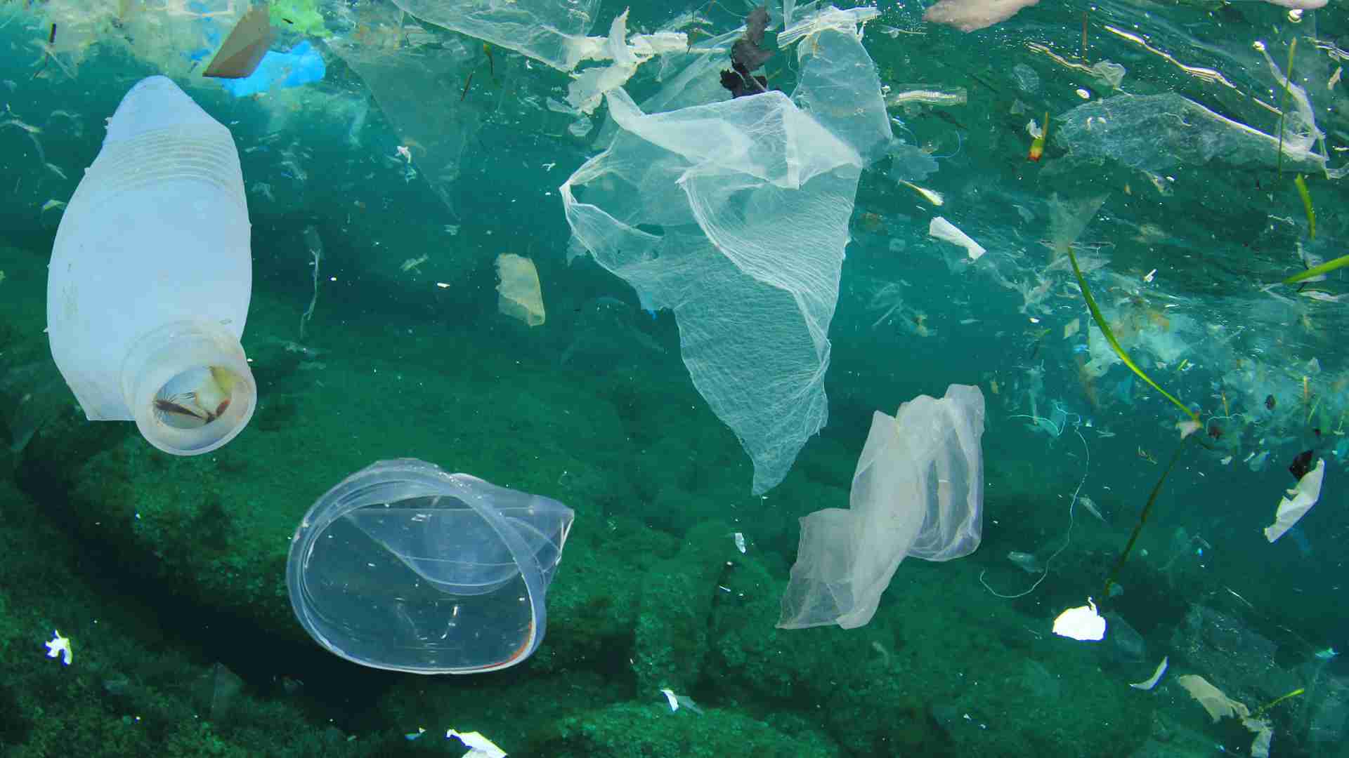 How Ocean Pollution Affects Humans