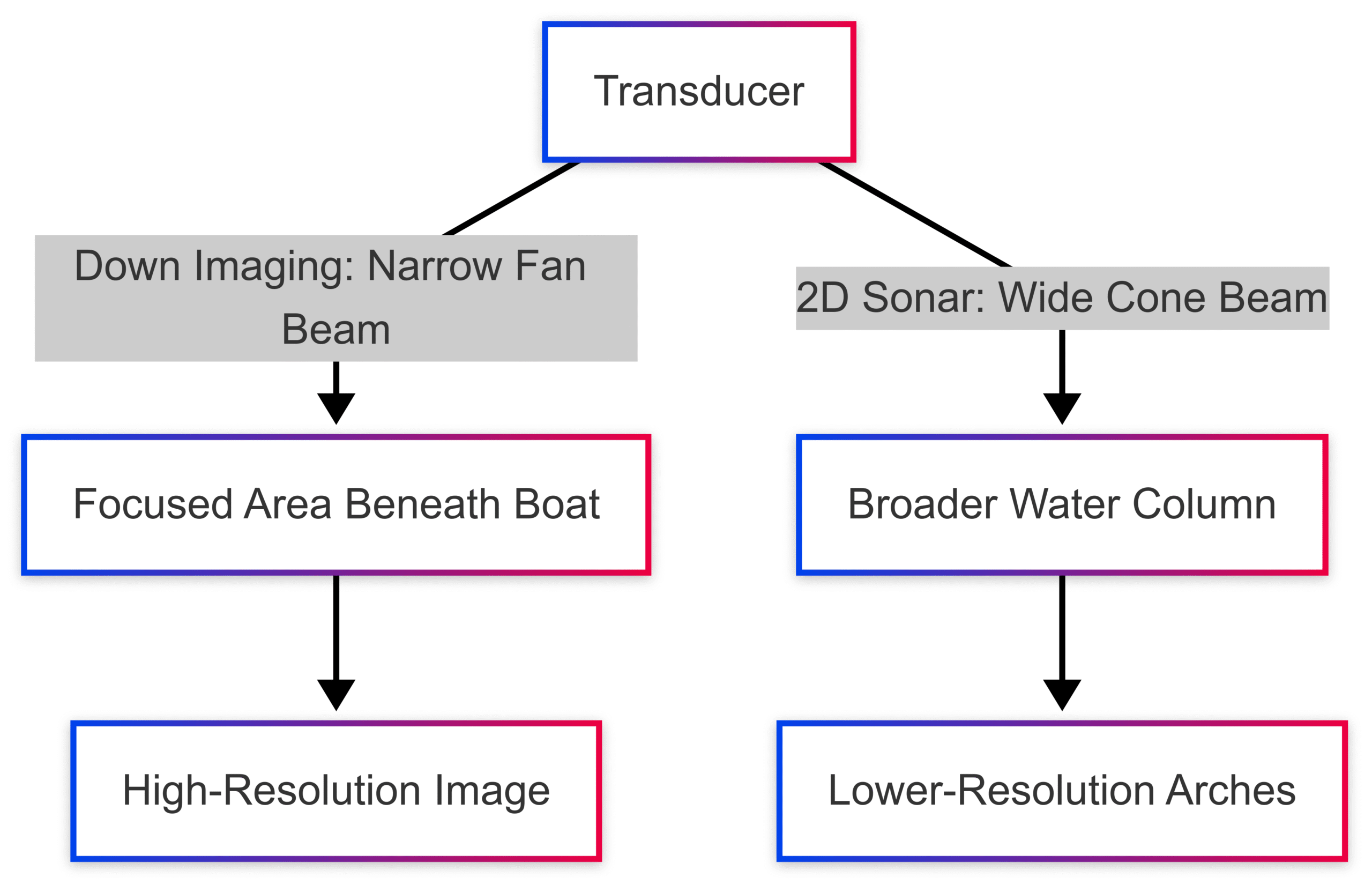 What Is the Difference Between Down Imaging and Sonar What Is the Difference Between Down Imaging and Sonar