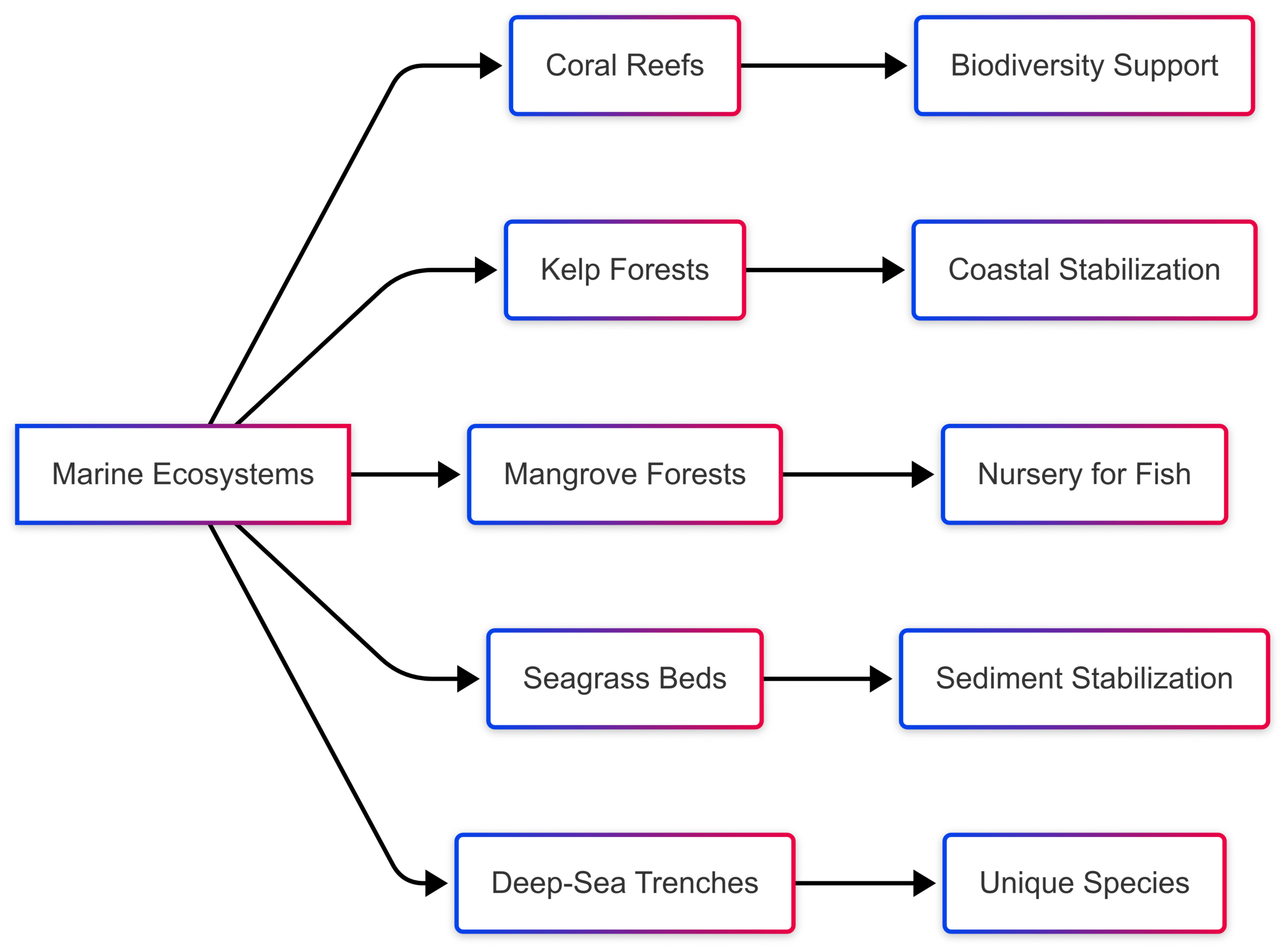 The Importance of Marine Ecosystems The Importance of Marine Ecosystems