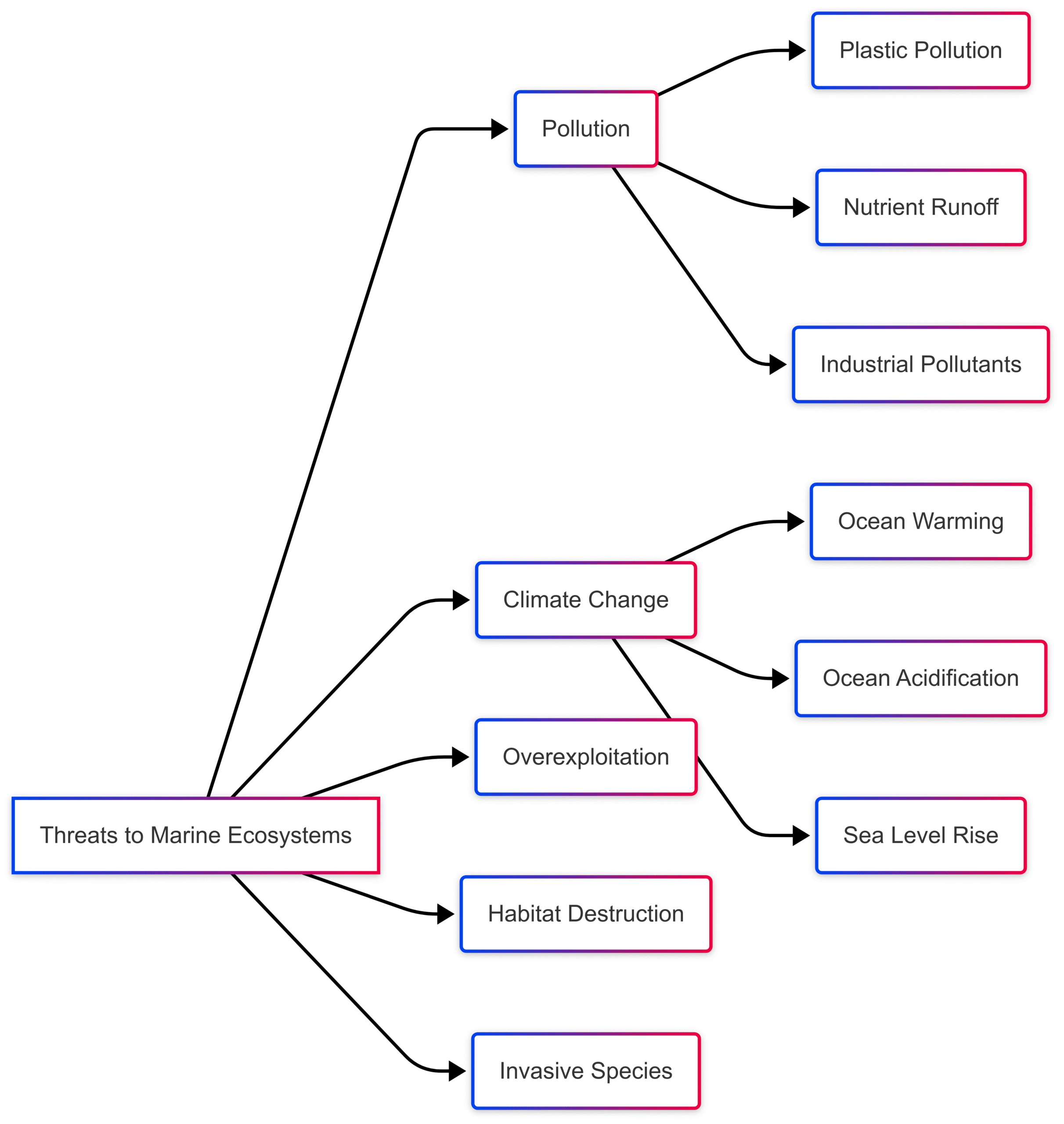 The Importance of Marine Ecosystems The Importance of Marine Ecosystems