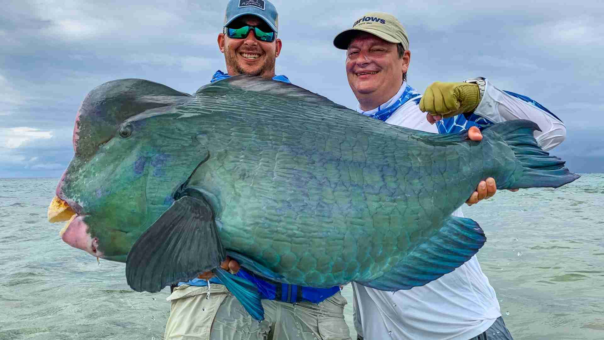 The 20 Ugliest Fish in the Ocean (With Photos) The 20 Ugliest Fish in the Ocean (With Photos)