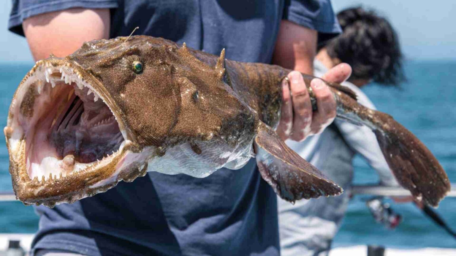 The 20 Ugliest Fish in the Ocean (With Photos)