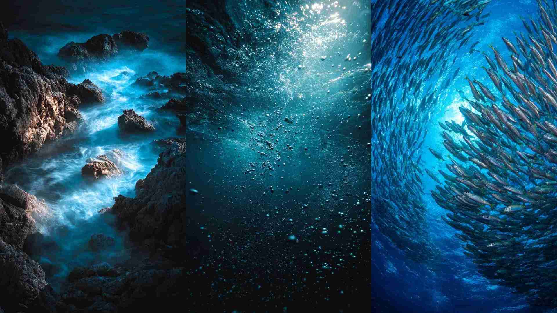 Deep Dark Ocean Pictures 4K HD Wallpapers