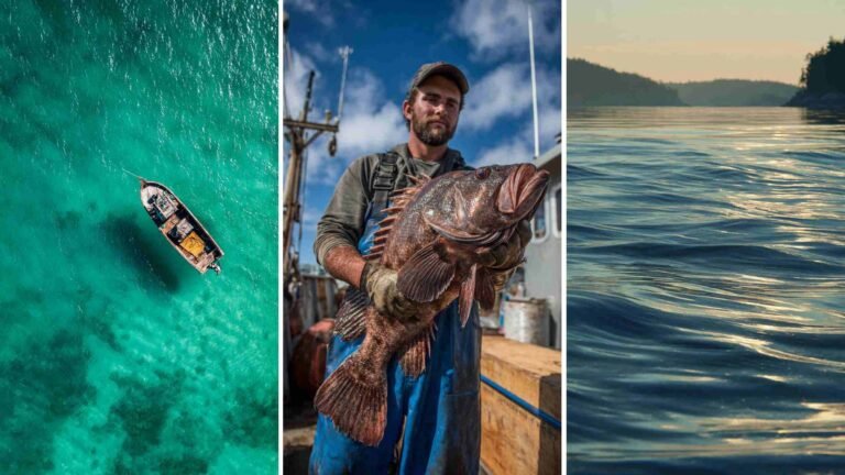 New Deep Sea Fishing 4K HD Wallpapers