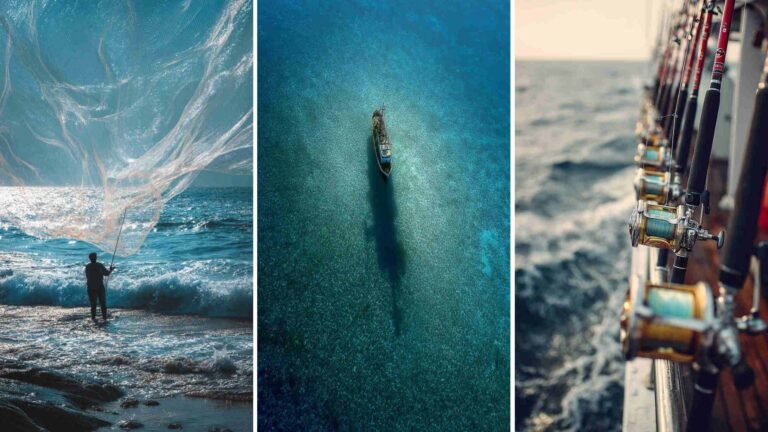 Deep Sea Fishing 4K HD Wallpapers